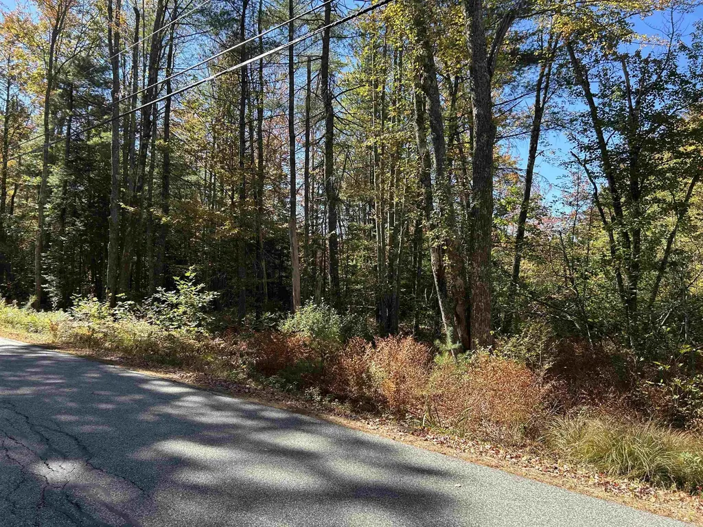 Birch Hill Road New Durham NH 03809