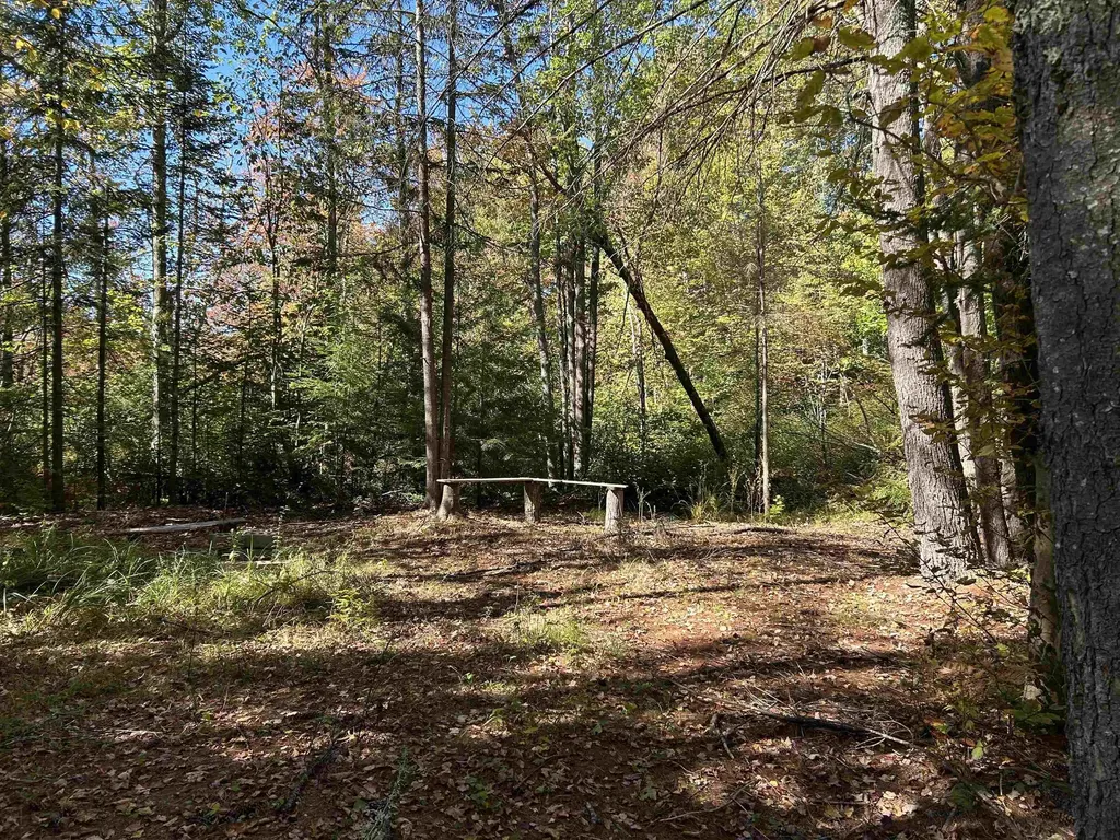 Birch Hill Road New Durham NH 03809