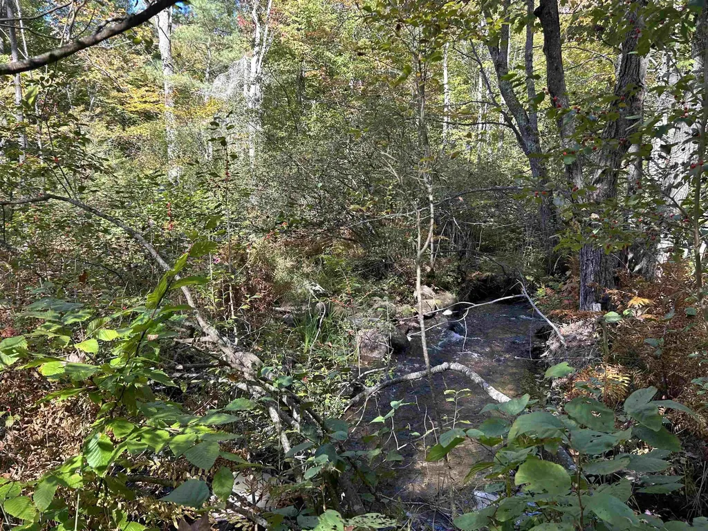 Birch Hill Road New Durham NH 03809