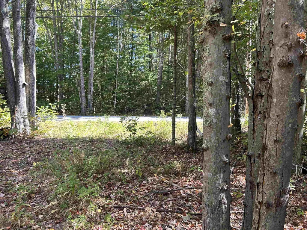 Birch Hill Road New Durham NH 03809