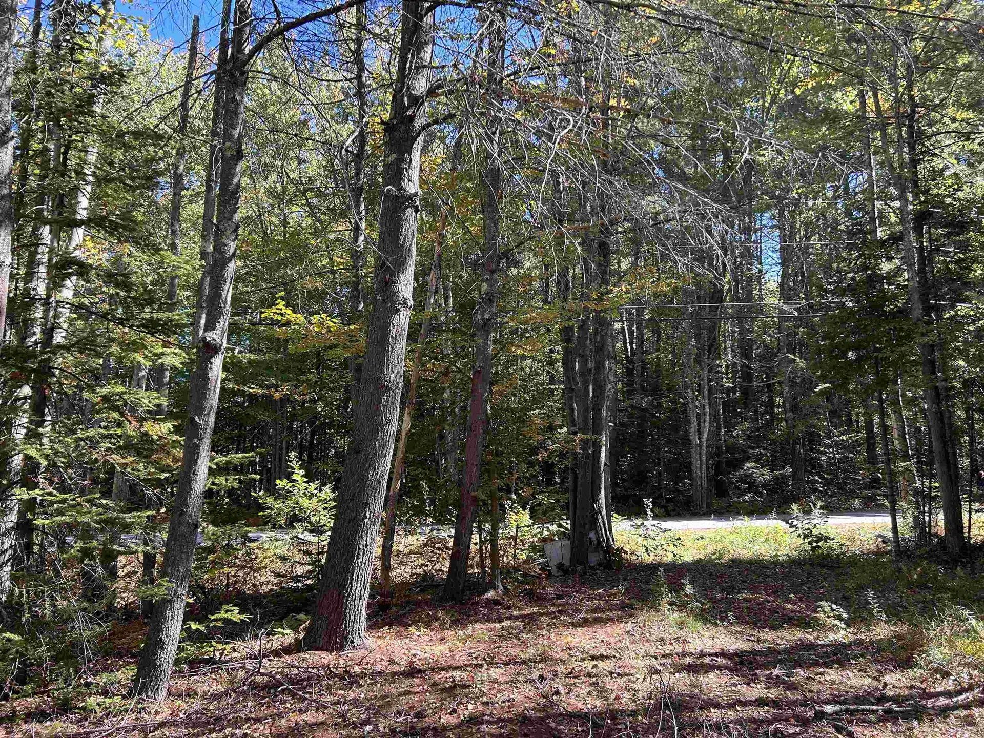 Birch Hill Road New Durham NH 03809