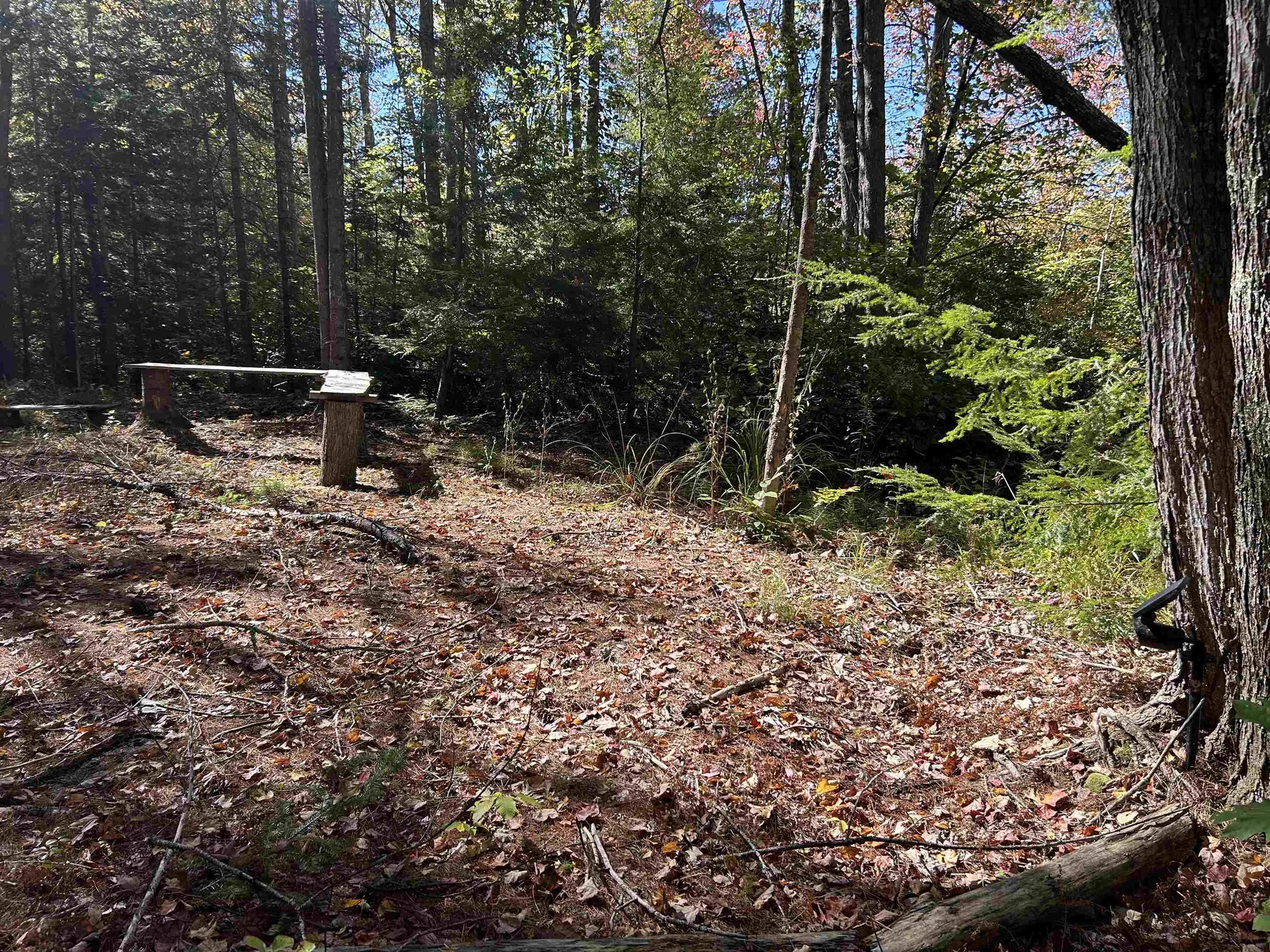 Birch Hill Road New Durham NH 03809