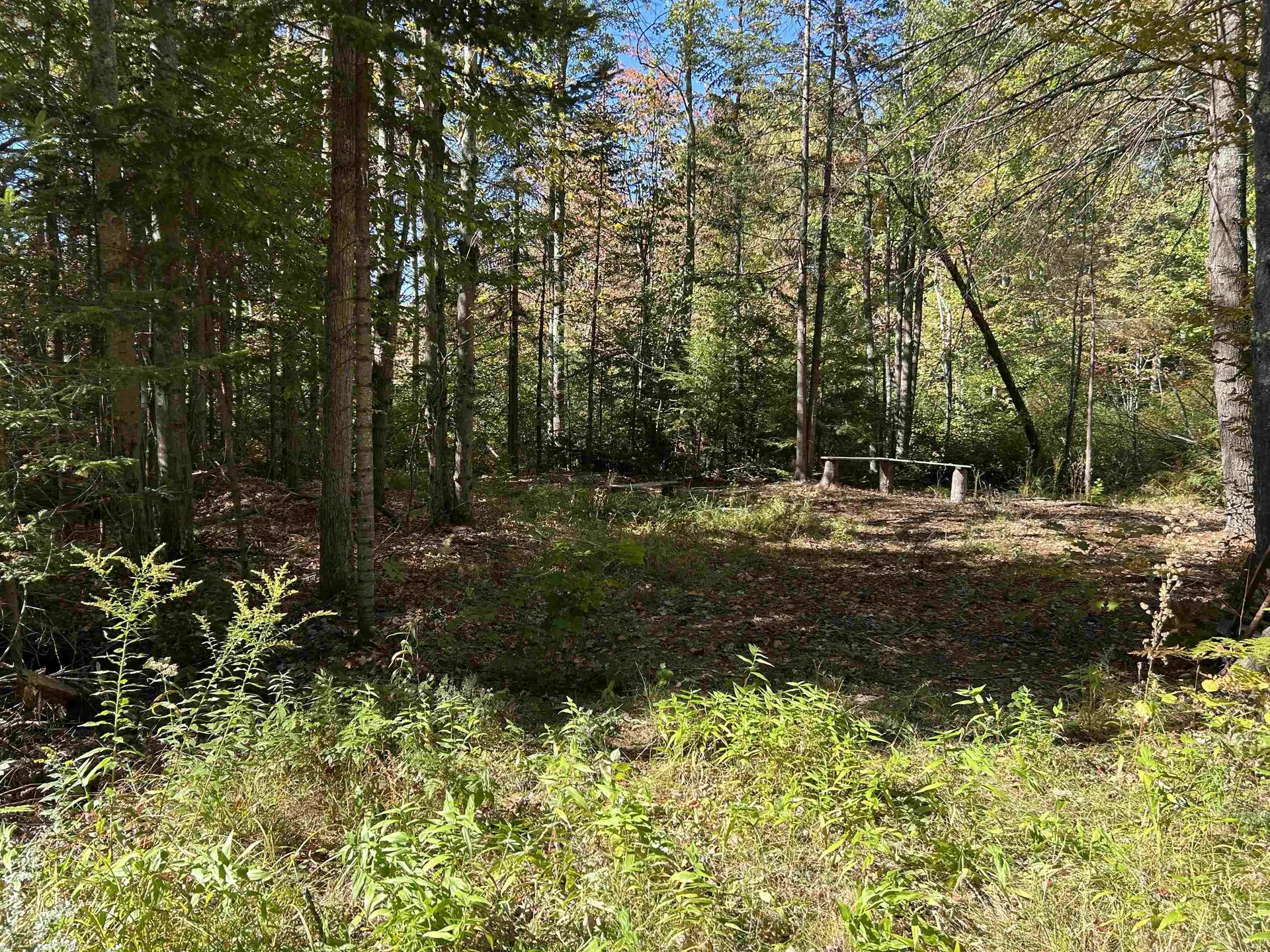 Birch Hill Road New Durham NH 03809