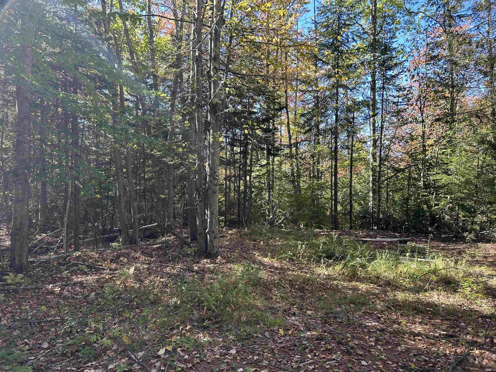 Birch Hill Road New Durham NH 03809