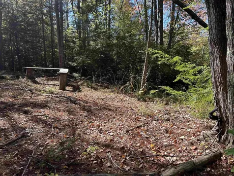 Birch Hill Road New Durham NH 03809