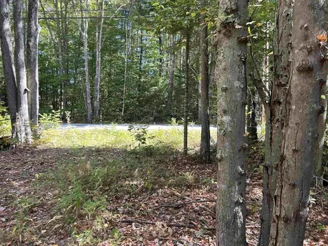 Birch Hill Road New Durham NH 03809