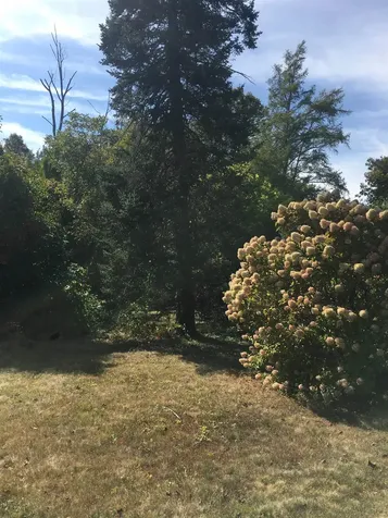 436 Elm Street Laconia NH 03246