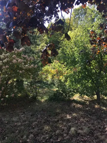 436 Elm Street Laconia NH 03246