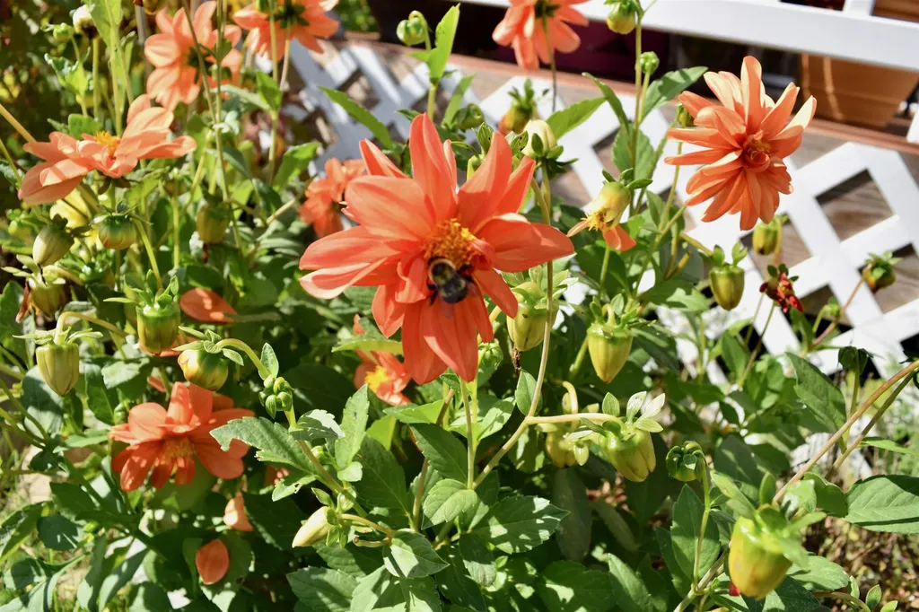 166 Horseshoe Circle Milton VT 05468