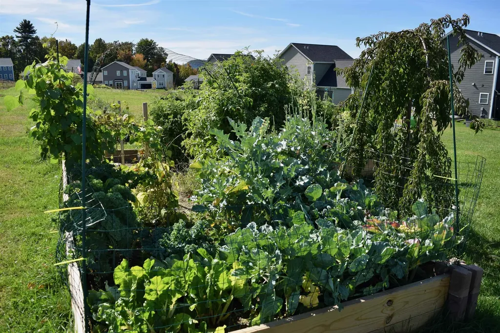 166 Horseshoe Circle Milton VT 05468