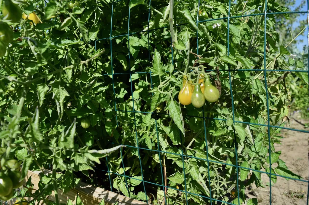 166 Horseshoe Circle Milton VT 05468