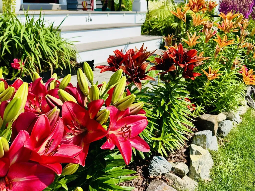 166 Horseshoe Circle Milton VT 05468