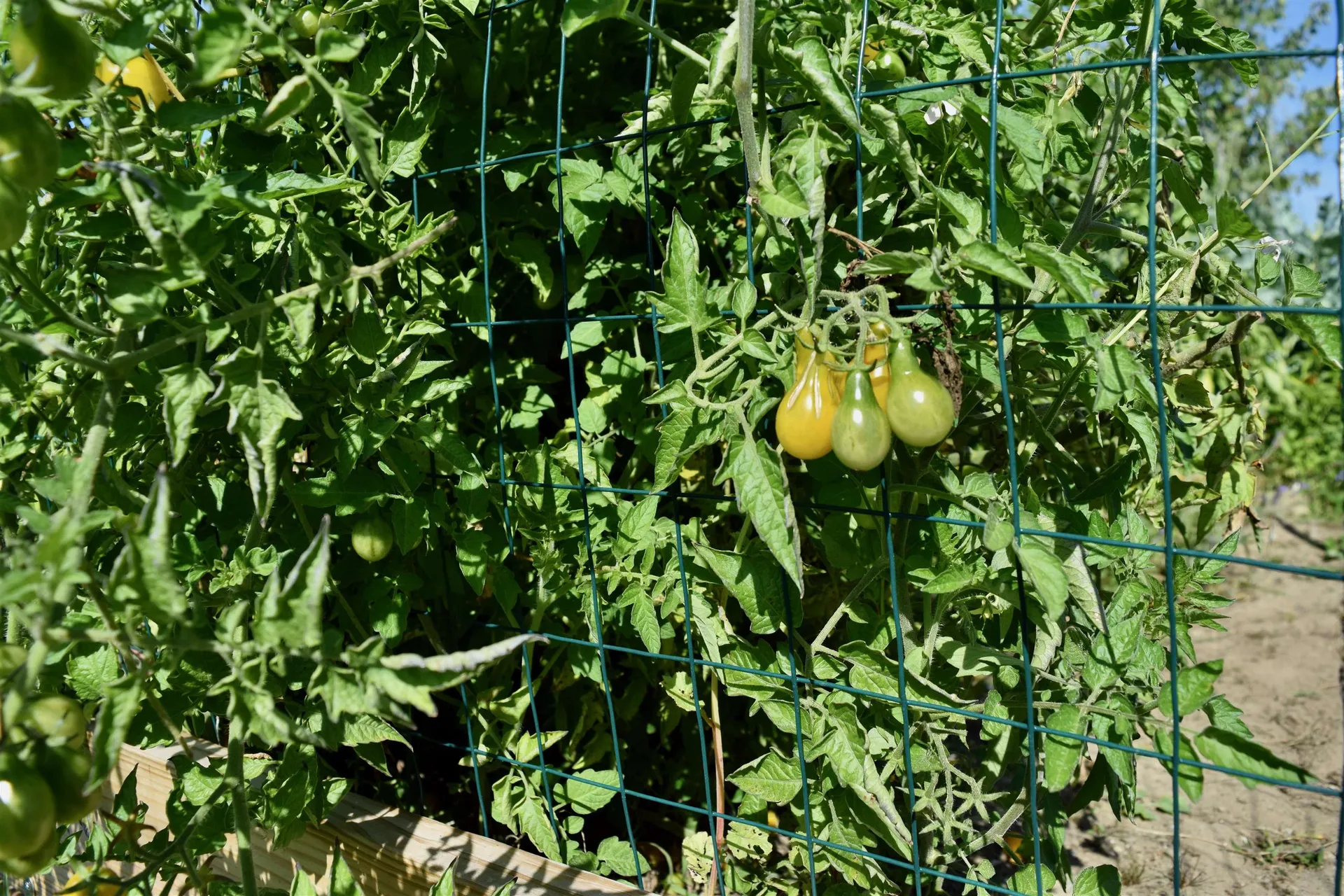 166 Horseshoe Circle Milton VT 05468