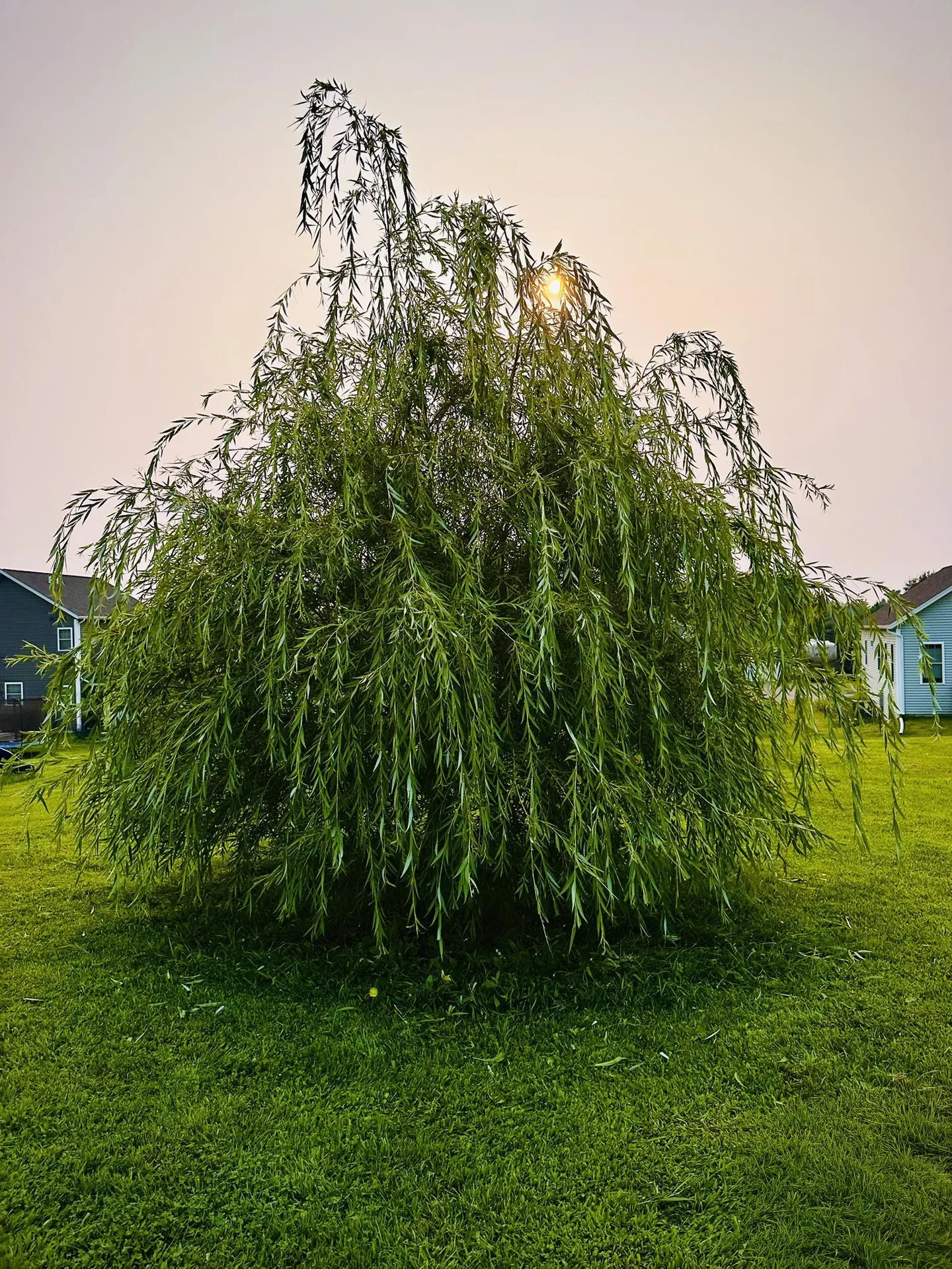 166 Horseshoe Circle Milton VT 05468