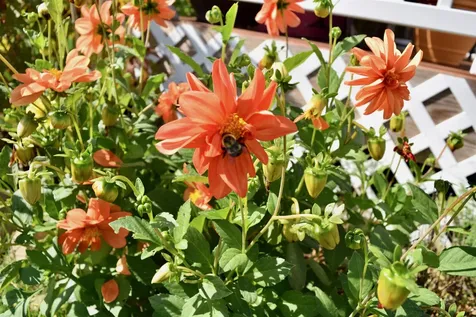 166 Horseshoe Circle Milton VT 05468