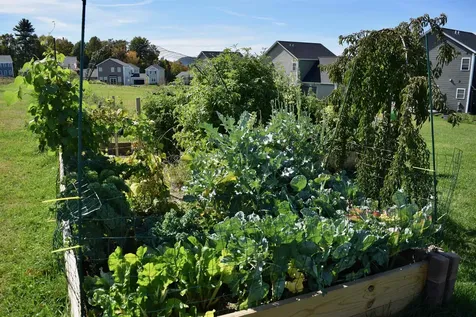 166 Horseshoe Circle Milton VT 05468