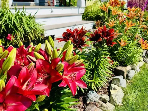 166 Horseshoe Circle Milton VT 05468