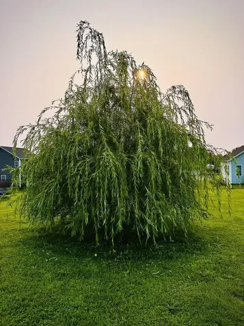 166 Horseshoe Circle Milton VT 05468