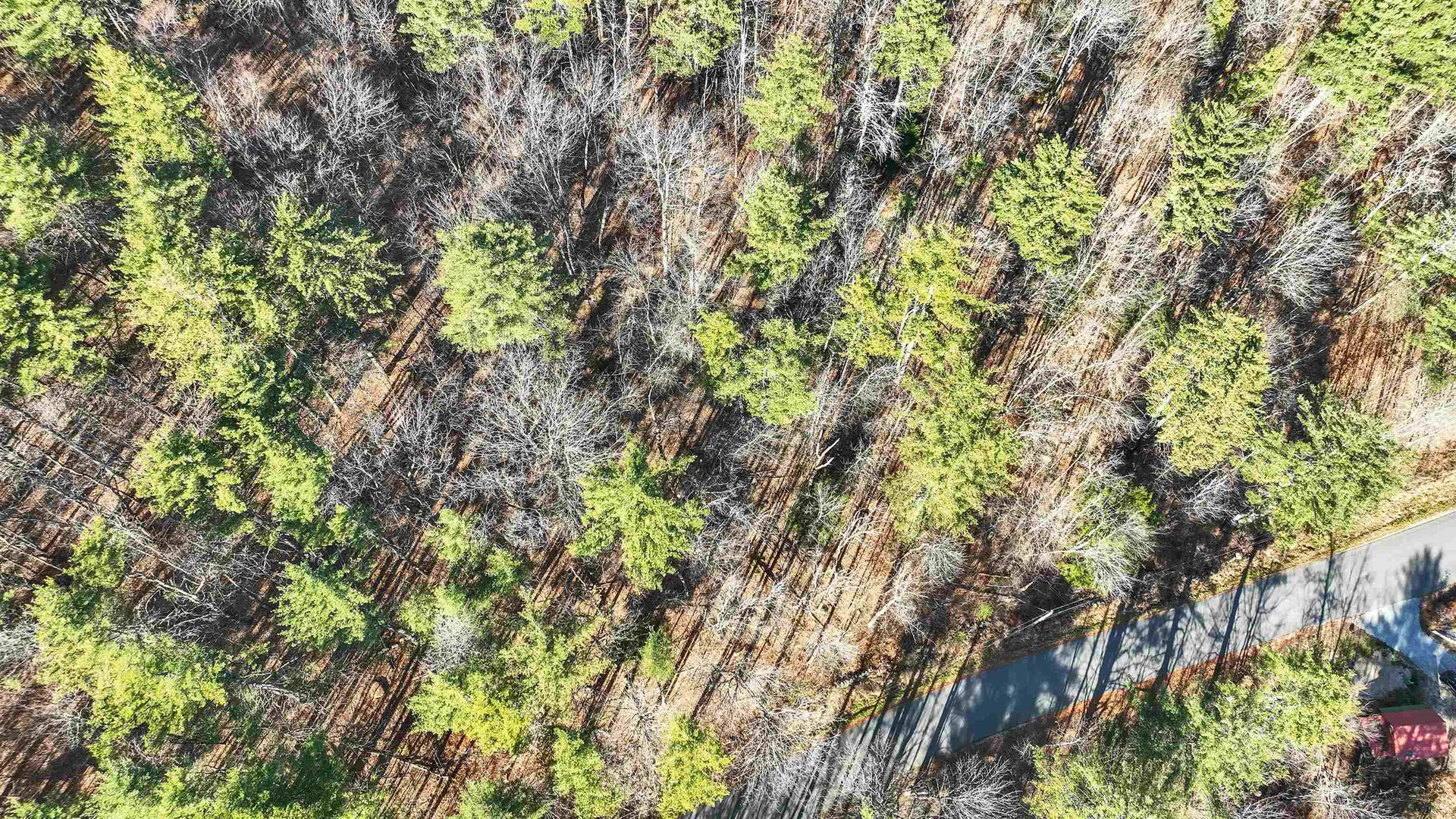 00 Windsor Road Windsor NH 03244