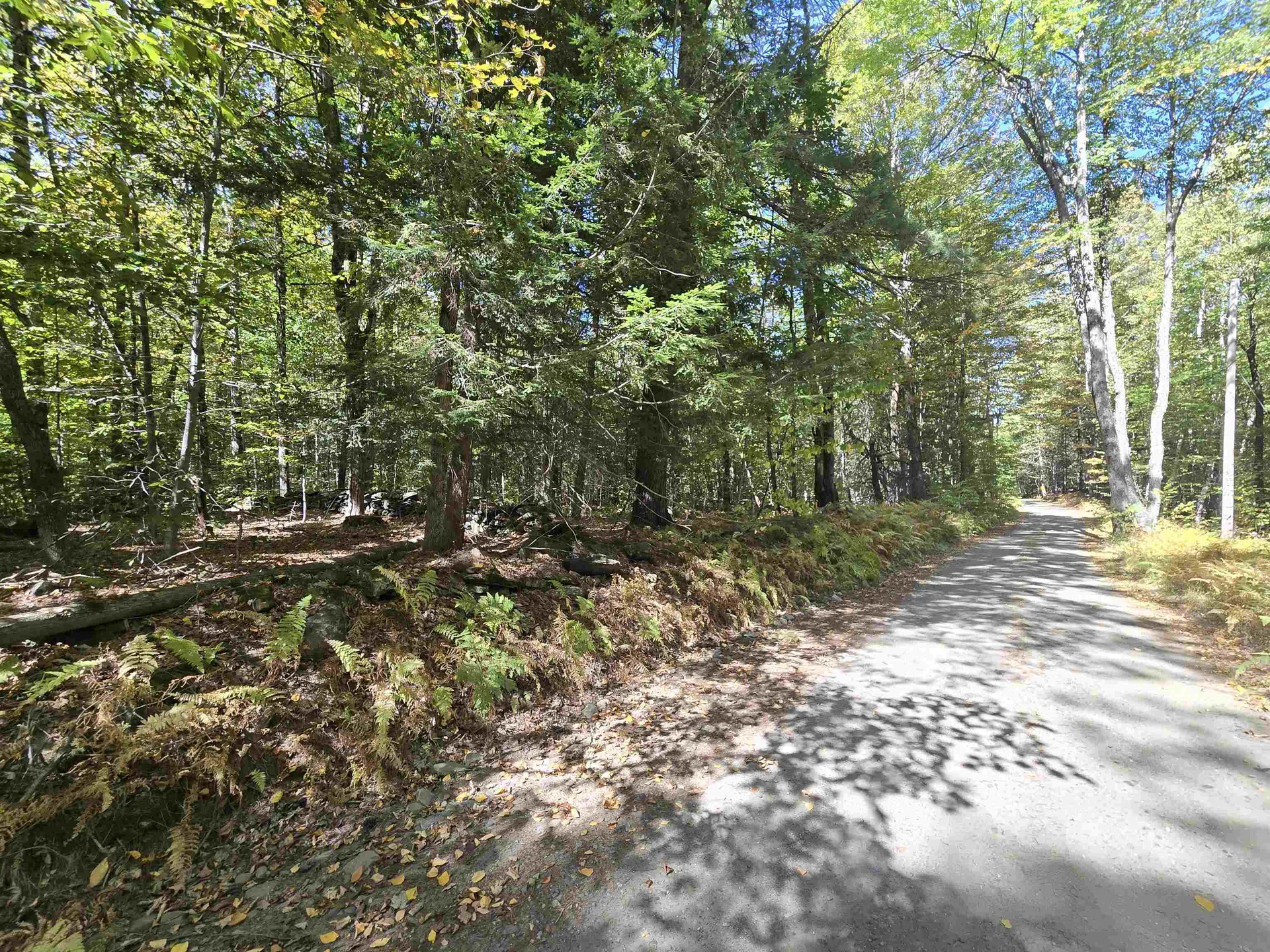 00 Fisch Road Brattleboro VT 05301