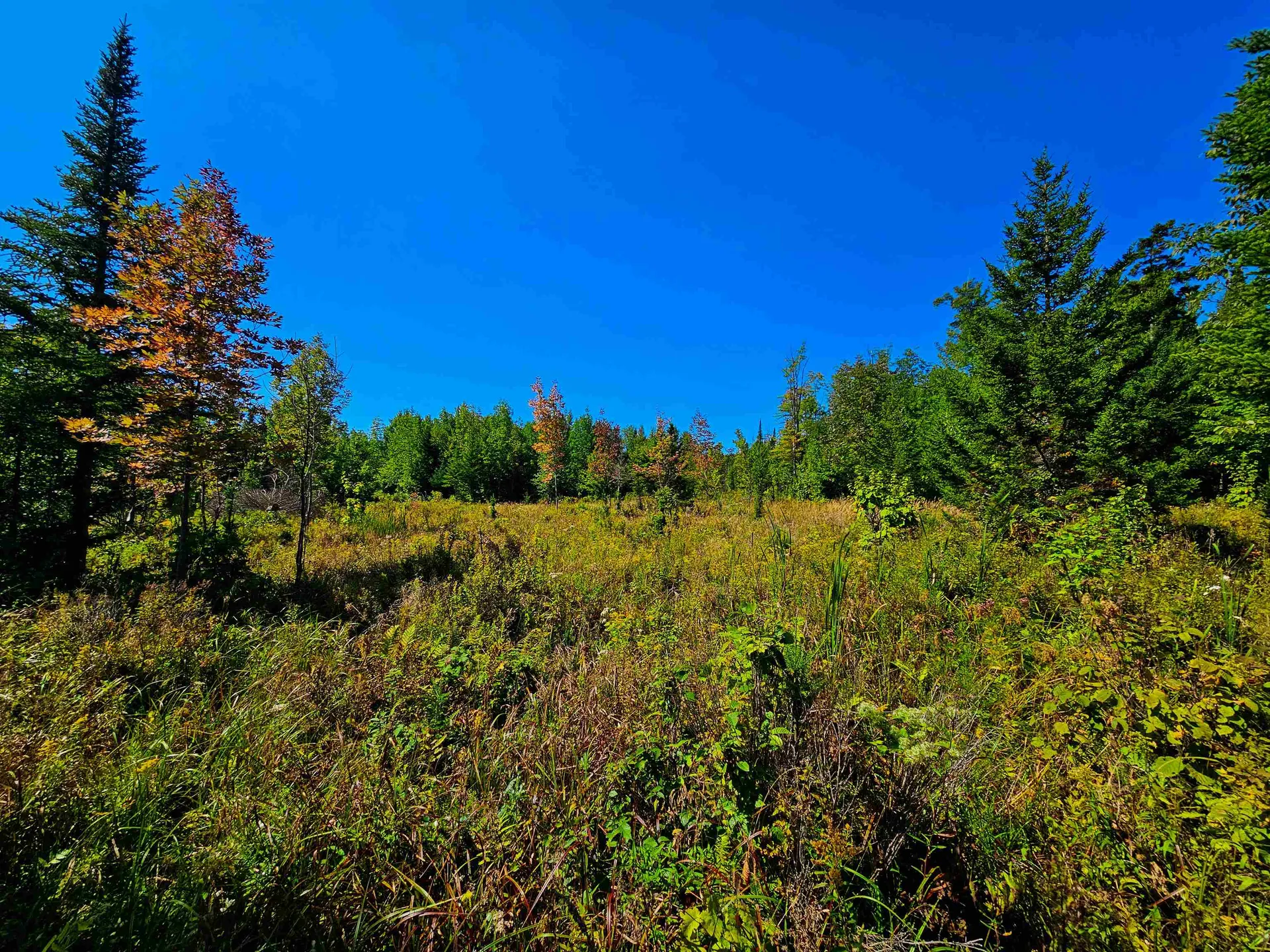 522 Mount Misery Road Littleton NH 03561