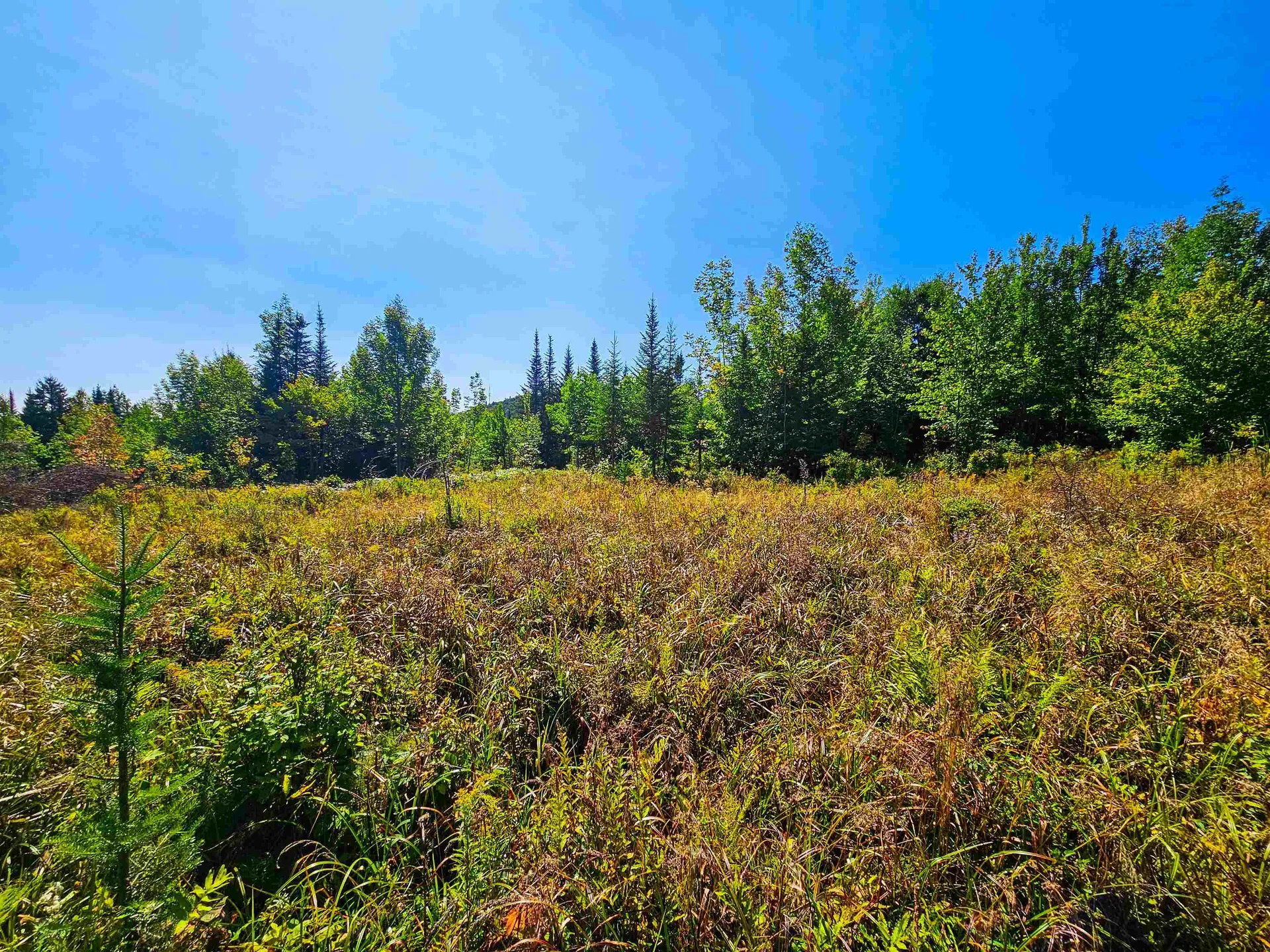 522 Mount Misery Road Littleton NH 03561