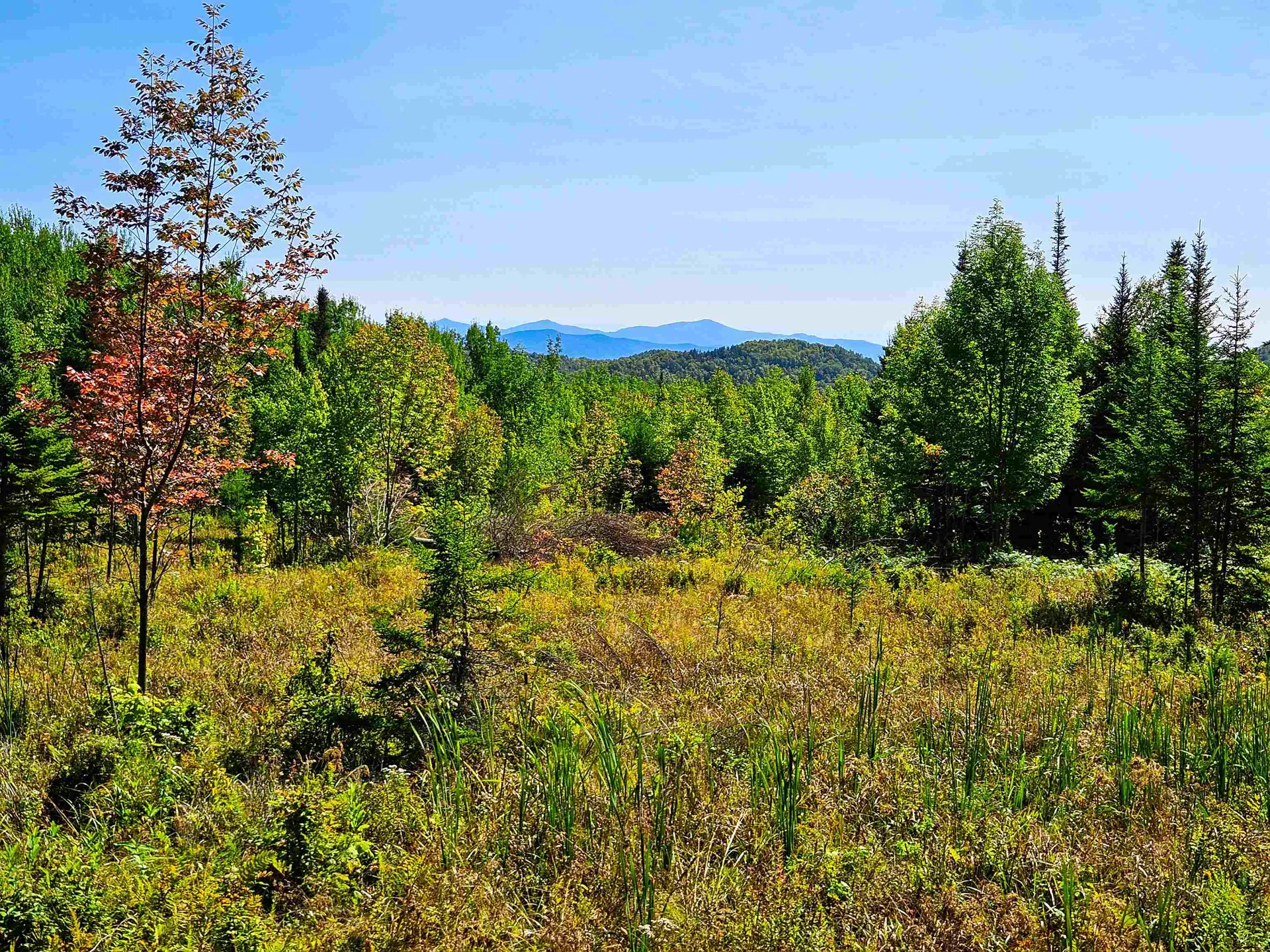 522 Mount Misery Road Littleton NH 03561