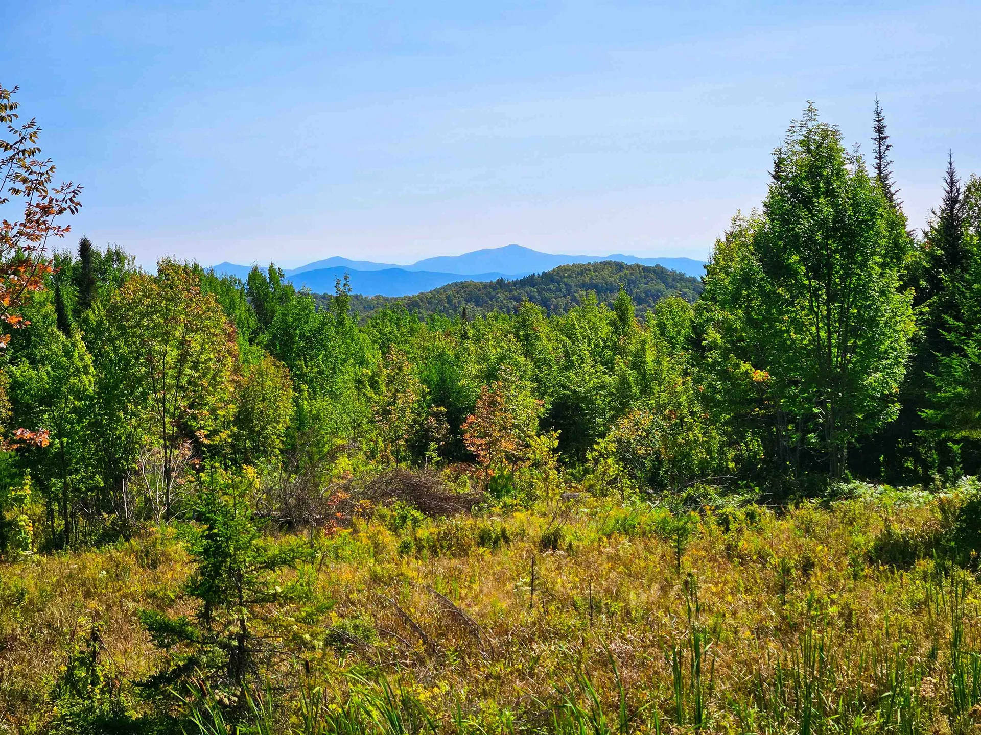 522 Mount Misery Road Littleton NH 03561