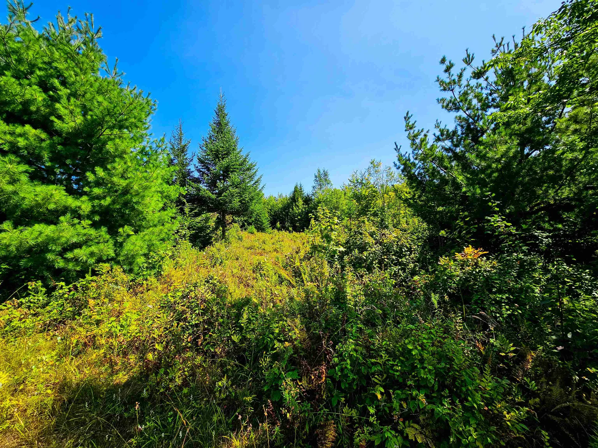 522 Mount Misery Road Littleton NH 03561