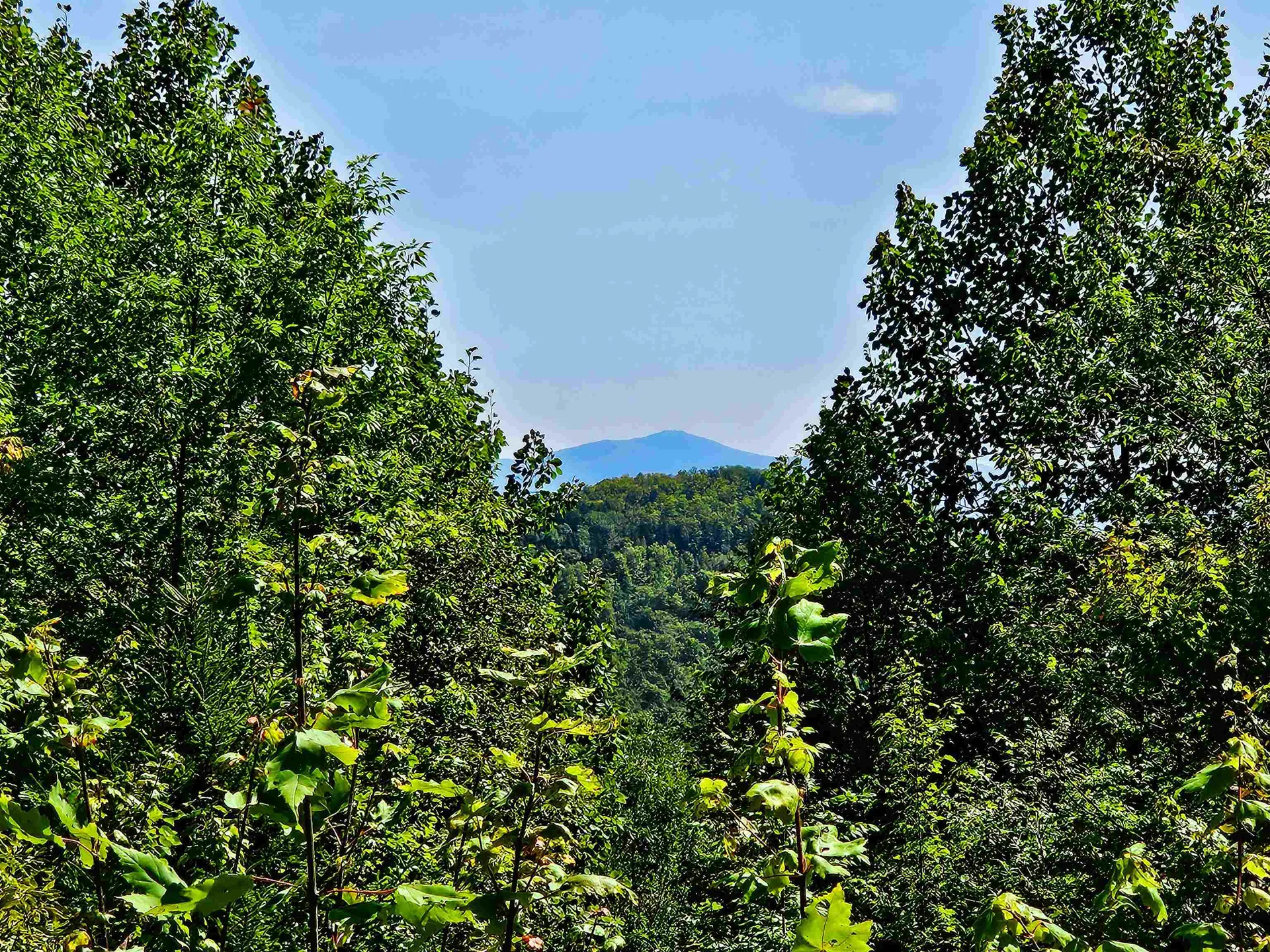 522 Mount Misery Road Littleton NH 03561