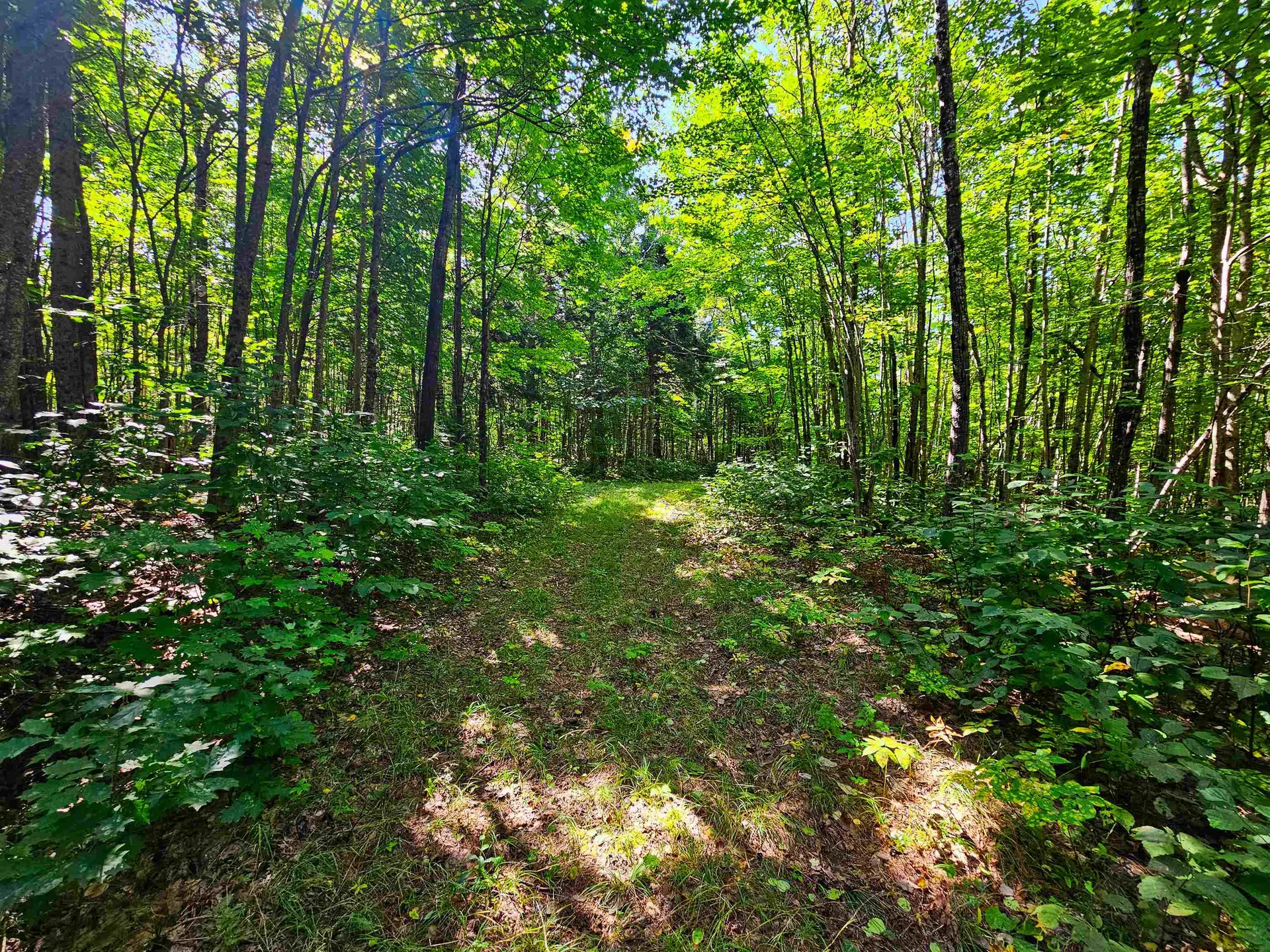 522 Mount Misery Road Littleton NH 03561