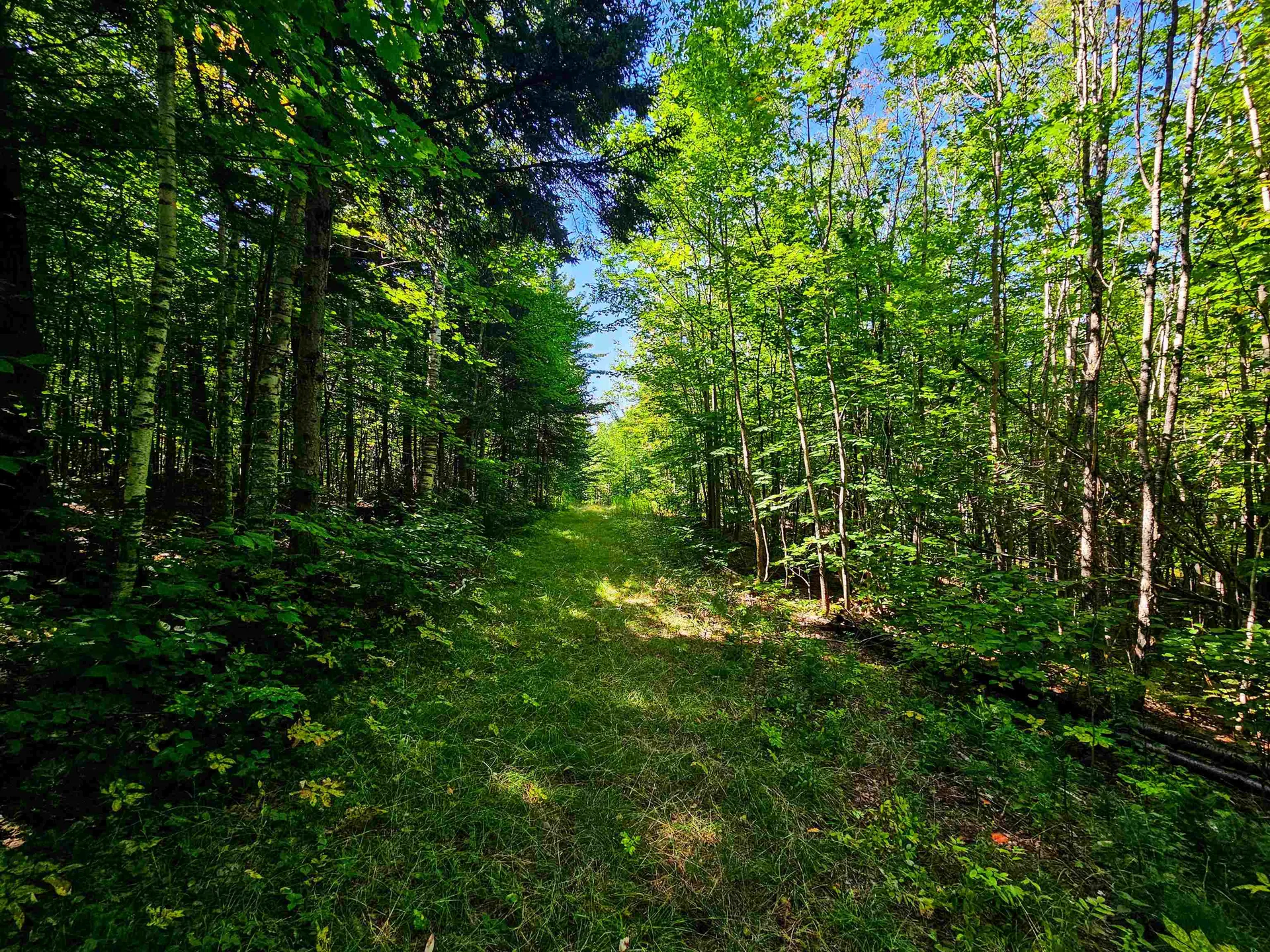 522 Mount Misery Road Littleton NH 03561