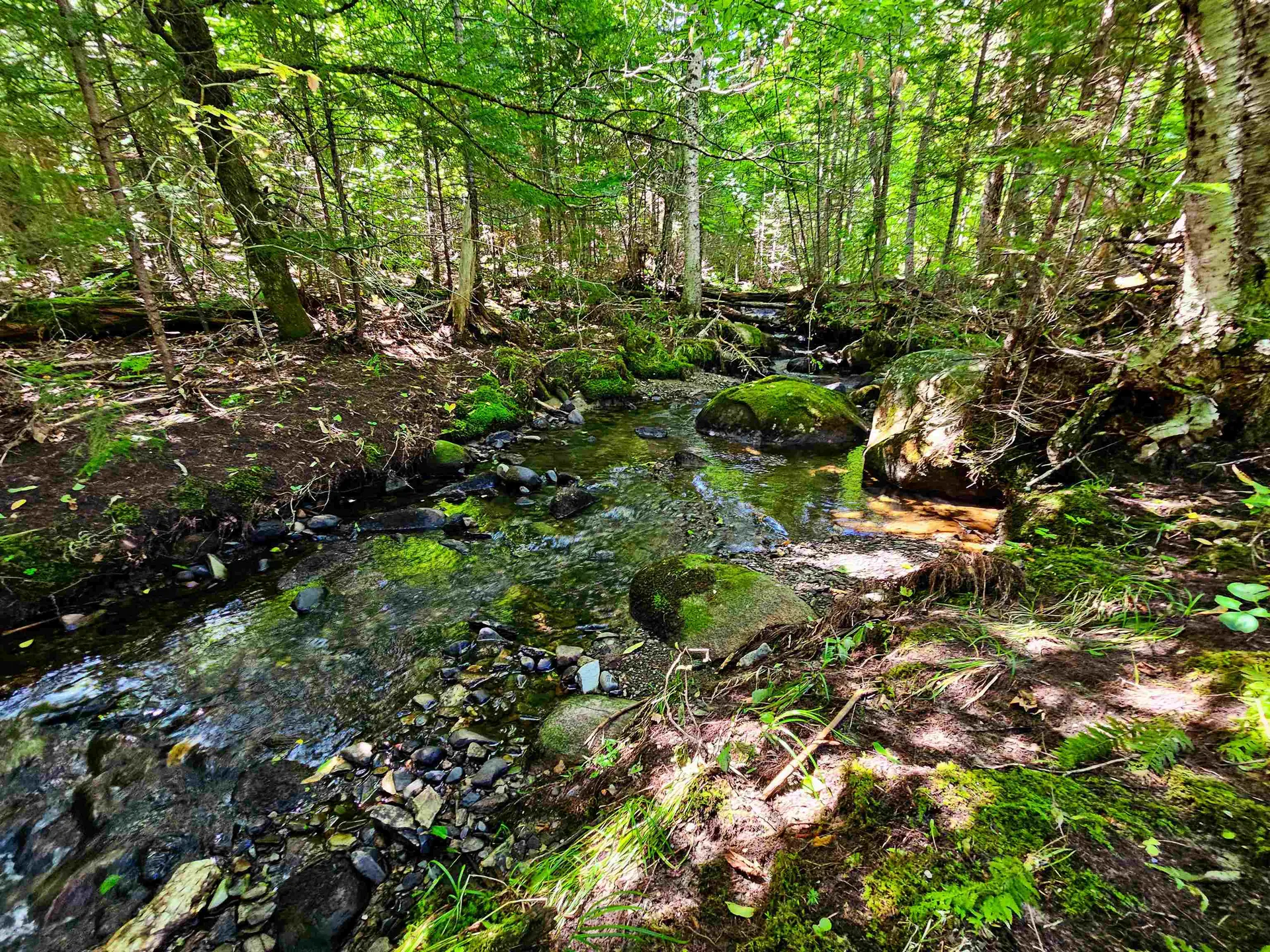 522 Mount Misery Road Littleton NH 03561