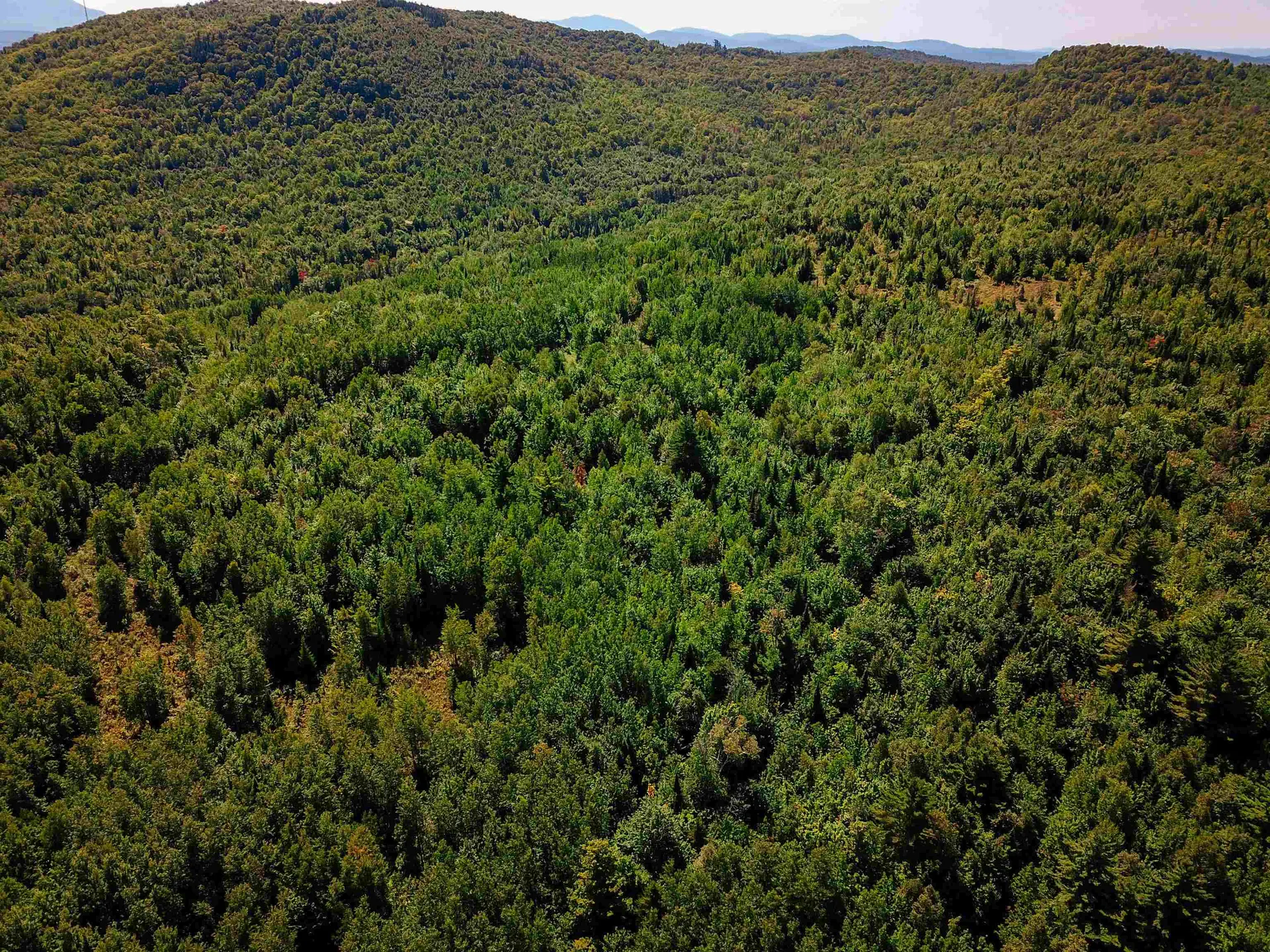 522 Mount Misery Road Littleton NH 03561