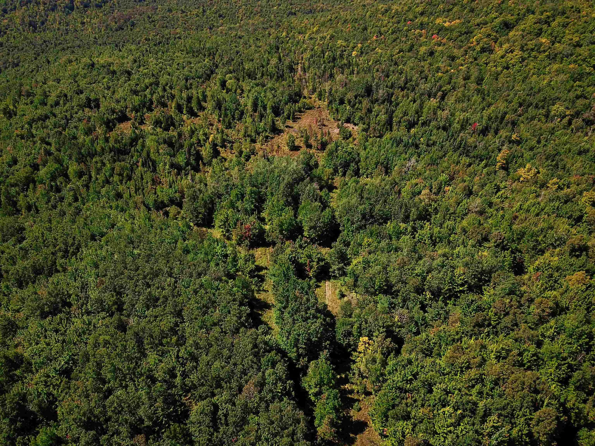 522 Mount Misery Road Littleton NH 03561