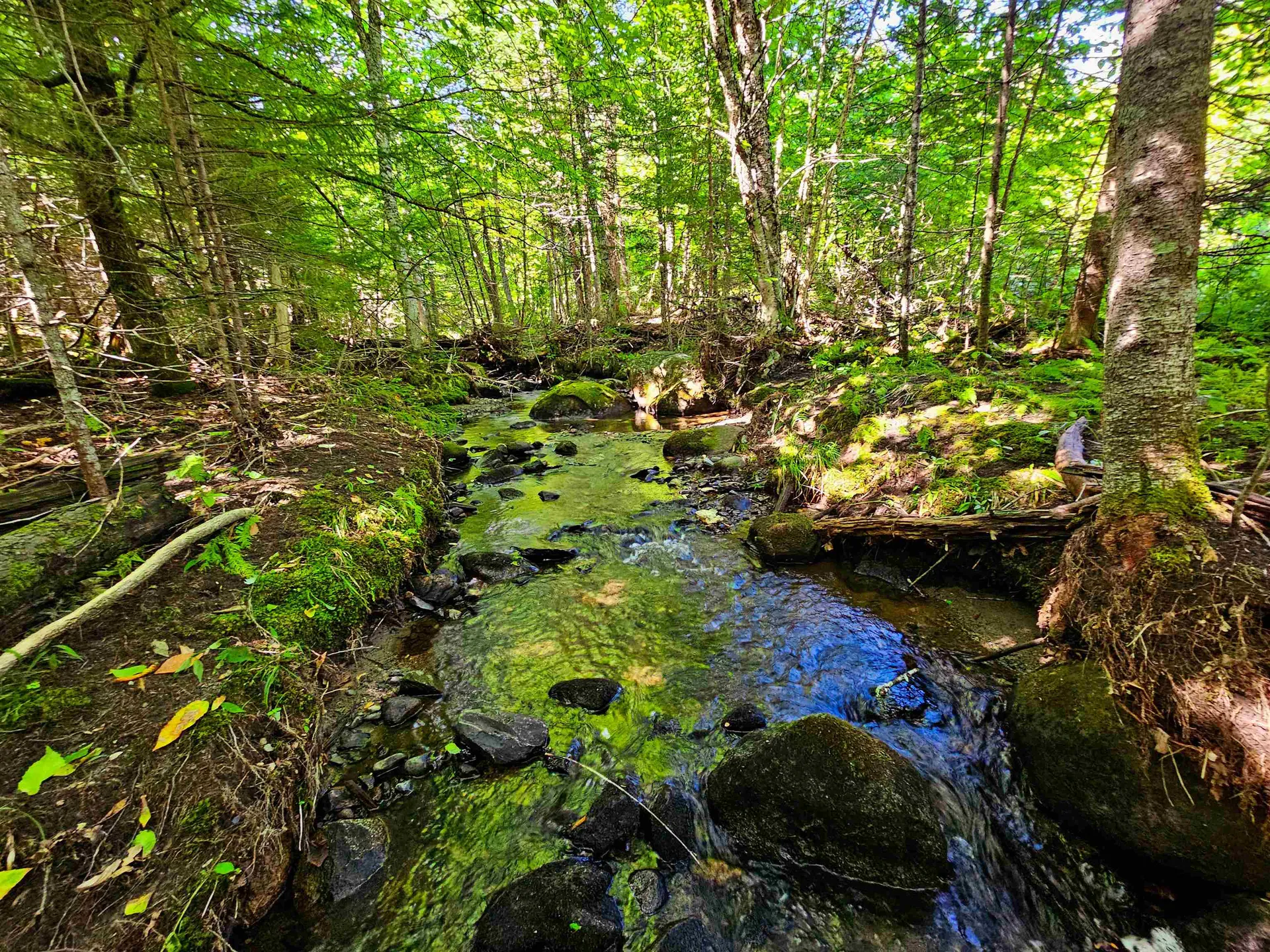 522 Mount Misery Road Littleton NH 03561