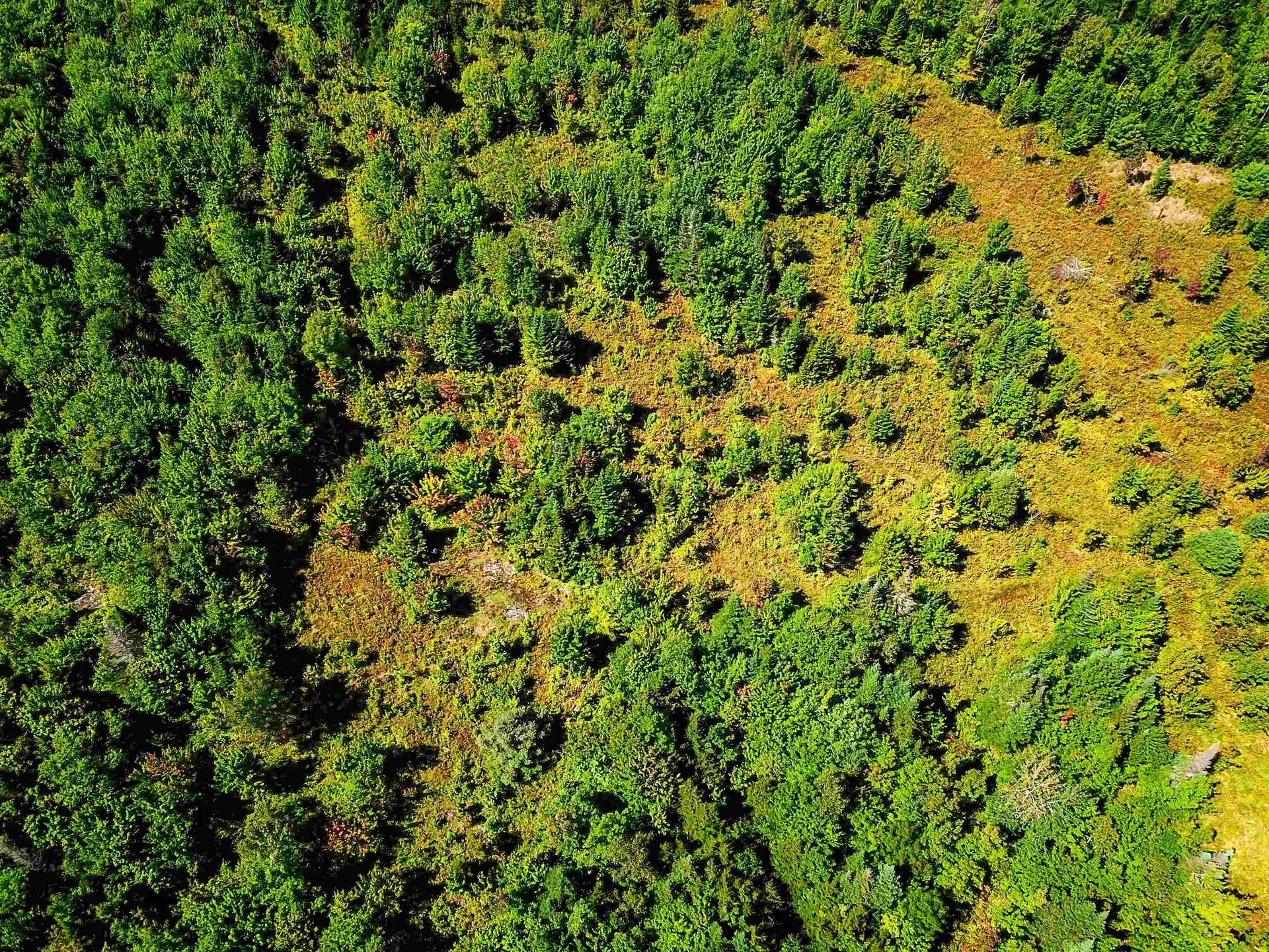 522 Mount Misery Road Littleton NH 03561