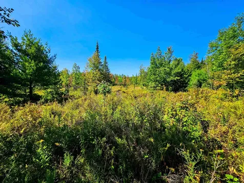 522 Mount Misery Road Littleton NH 03561