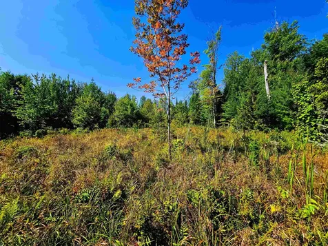 522 Mount Misery Road Littleton NH 03561