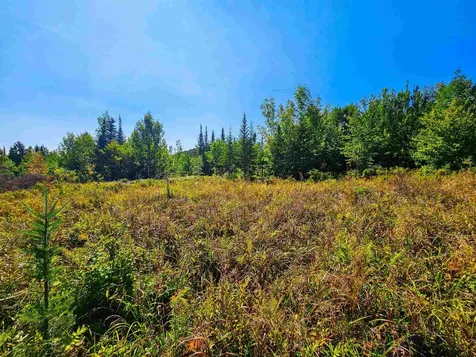 522 Mount Misery Road Littleton NH 03561