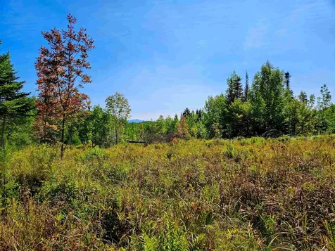 522 Mount Misery Road Littleton NH 03561