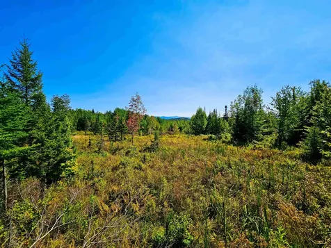 522 Mount Misery Road Littleton NH 03561