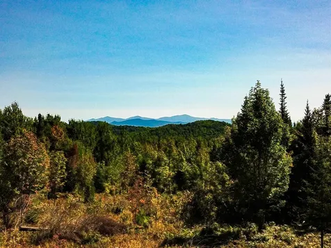 522 Mount Misery Road Littleton NH 03561