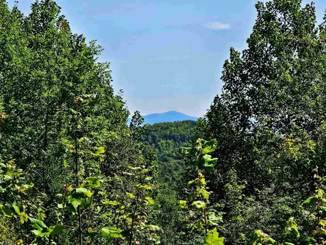 522 Mount Misery Road Littleton NH 03561