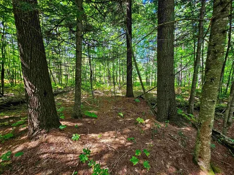 522 Mount Misery Road Littleton NH 03561