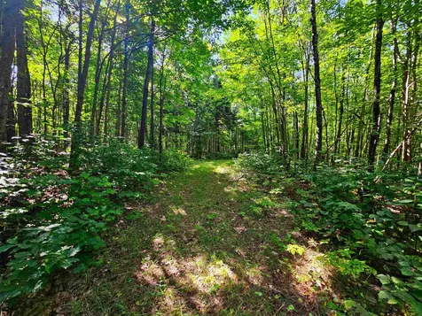 522 Mount Misery Road Littleton NH 03561