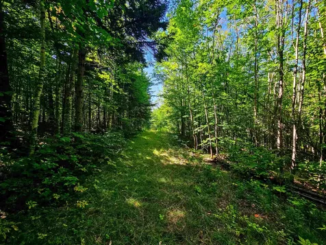 522 Mount Misery Road Littleton NH 03561