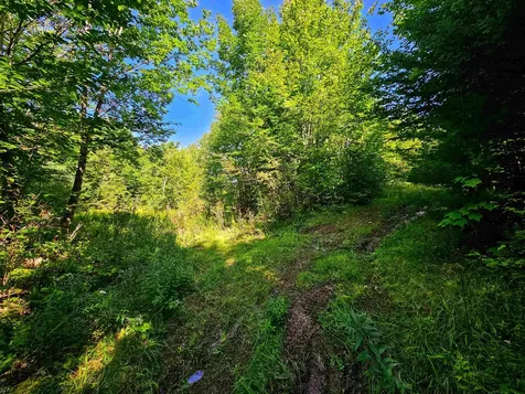 522 Mount Misery Road Littleton NH 03561