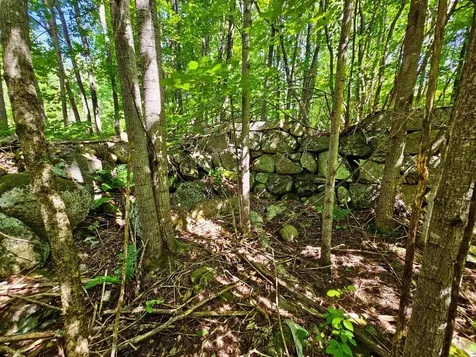 522 Mount Misery Road Littleton NH 03561