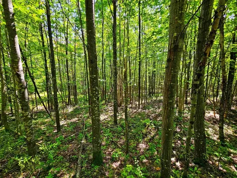 522 Mount Misery Road Littleton NH 03561